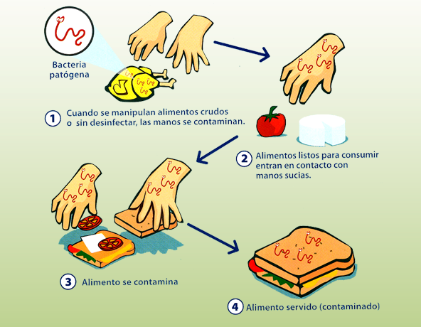Contaminación cruzada por manos