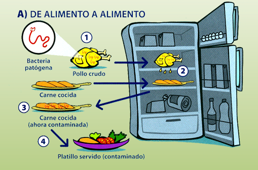 Contaminación cruzada por almacenamiento